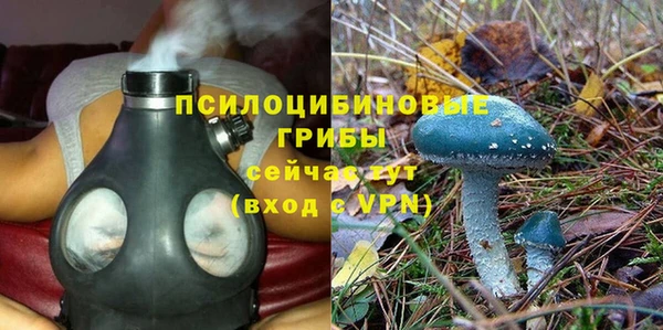 mdpv Вяземский