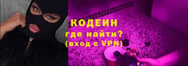 mdpv Вяземский