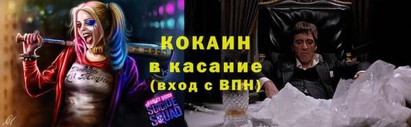 mdpv Вяземский