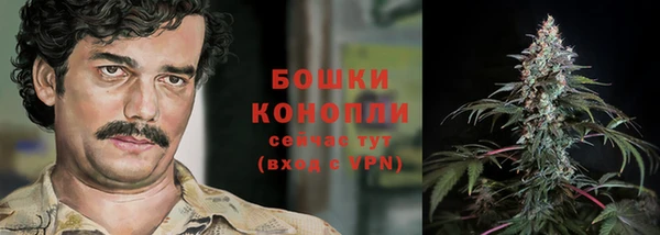 mdpv Вяземский