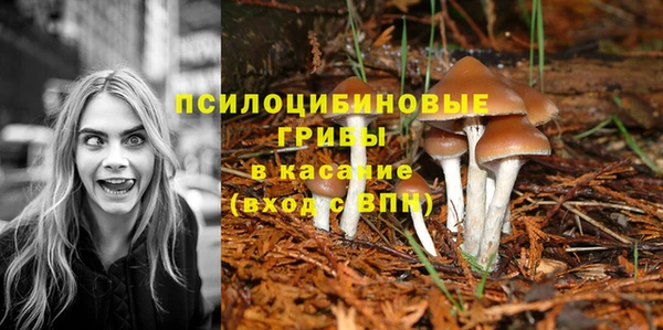 амфетамин Кукмор