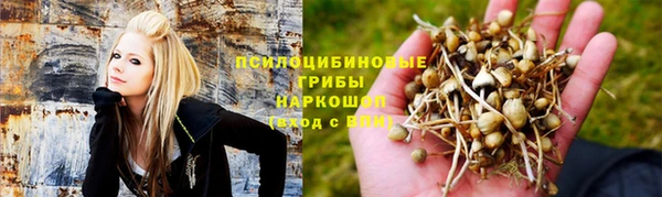 тгк Снежногорск