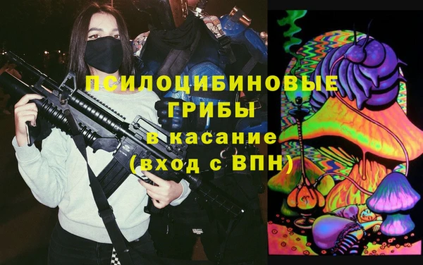 mdpv Вяземский